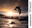 stock photo : beautiful dolphin jumped from water at the sunset time