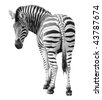 stock photo : Zoo single