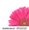 Gerber+daisies+background