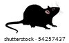 Rat Vector