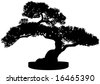 Banyan Tree Silhouette