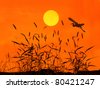 stock photo : sunset with a flighting bird